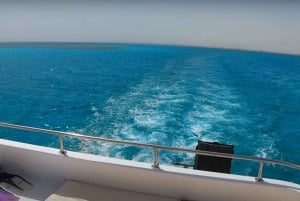 Sahl Hasheesh: Dolphin Watching Boat Tour with Snorkeling