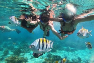 Sahl Hasheesh: Dolphin Watching Boat Tour with Snorkeling