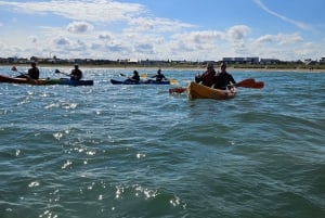 Sea kayaking trip to Skerries Islands with Pictures
