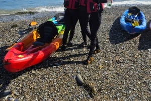 Sea kayaking trip to Skerries Islands with Pictures