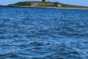 Sea kayaking trip to Skerries Islands with Pictures