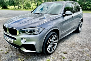 Shannon: Private Airport Arrival Transfer to Dublin