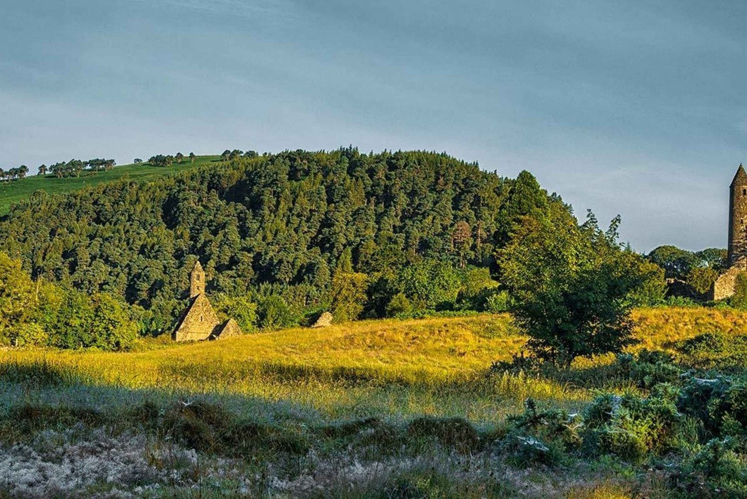 Landtur fra Dublin: Wicklow Mountains og Dublin