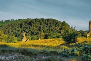 Landgang fra Dublin: Wicklow-bjergene og Dublin