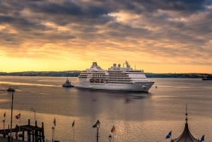 Tocht langs de kust vanuit Dublin: Wicklow bergen & Dublin