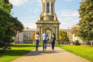 Landgang fra Dublin: Wicklow-bjergene og Dublin