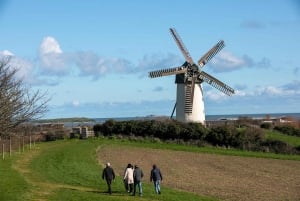 Dublin: Skerries Mills Guided Tour