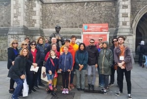 Spring køen over Guinness Storehouse og Book of Kells Icon Tour