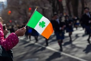 St. Patrick’s Day Parade: Grandstand Experience in Dublin