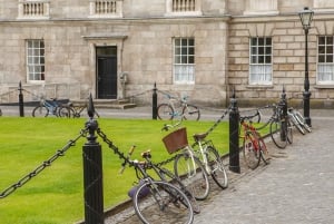 Dublin: Visita a St Patrick's, ao Livro de Kells e ao Castelo de Dublin