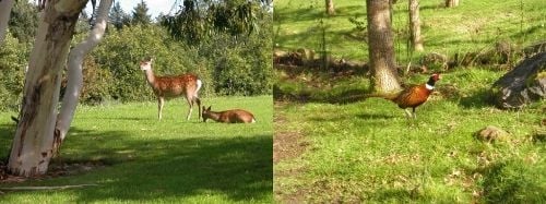 Stackstown Golf Club