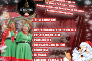 The Convention Before Christmas Entry Ticket