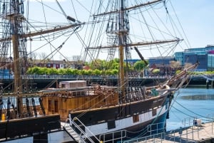 Dublin : Jeanie Johnston Tall Ship Irish Famine History Tour (visite guidée de l'histoire de la famine irlandaise)