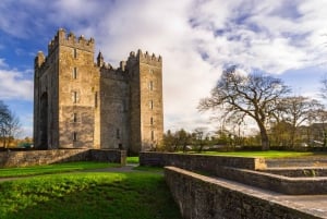 From Dublin: Cliffs of Moher and Bunratty Castle in Spanish