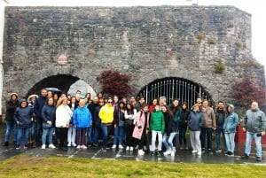 Tour in Spanish: Cliffs of Moher and Galway