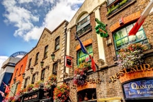Comida tradicional irlandesa e excursão privada ao centro histórico de Dublin