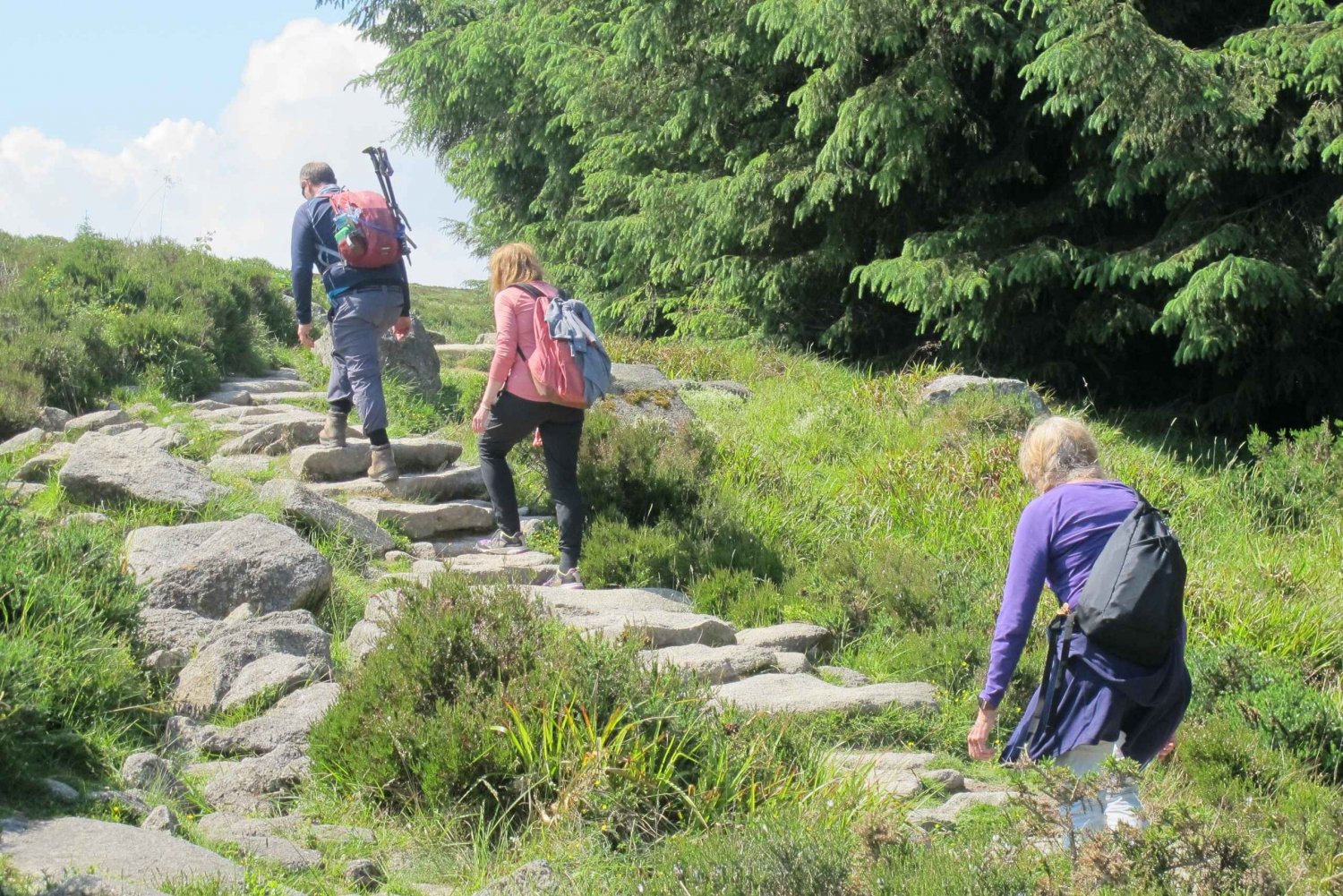 Trails and Tombs of the Dublin Mountains Trek