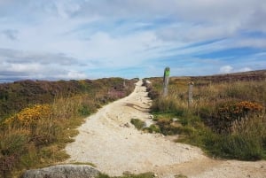 Trails and Tombs of the Dublin Mountains Trek