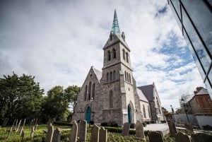 Expérience ultime « Guinness, whisky et gin » : la trilogie irlandaise