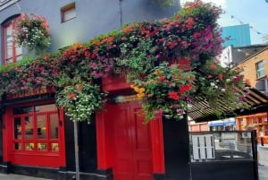 Expérience ultime « Guinness, whisky et gin » : la trilogie irlandaise