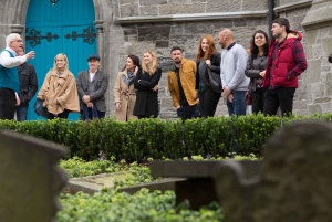 Ultimativ Guinness, whisky og gin – den irske trilogi