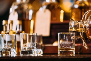 Ultimativ Guinness, whisky og gin – den irske trilogi