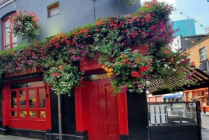 Ultimativ Guinness, whisky og gin – den irske trilogi