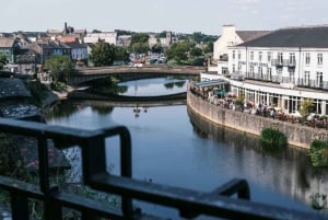 Au départ de Dublin : Visite privée de Waterford Crystal et Kilkenny