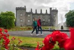 Waterford Crystal & Kilkenny City Small Group Tour