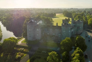 Waterford Crystal & Kilkenny City Tour in kleine groep