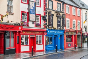 Visite d'une jounée en train de Waterford Crystal et Kilkenny au départ de Dublin