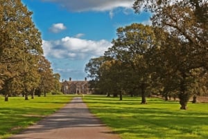 Wells House, Co Wexford: Inträde, picknick och surikat-skoj