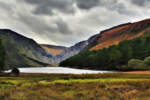 Wicklow, Glendalough privé rondrit met chauffeur 6 zitplaatsen