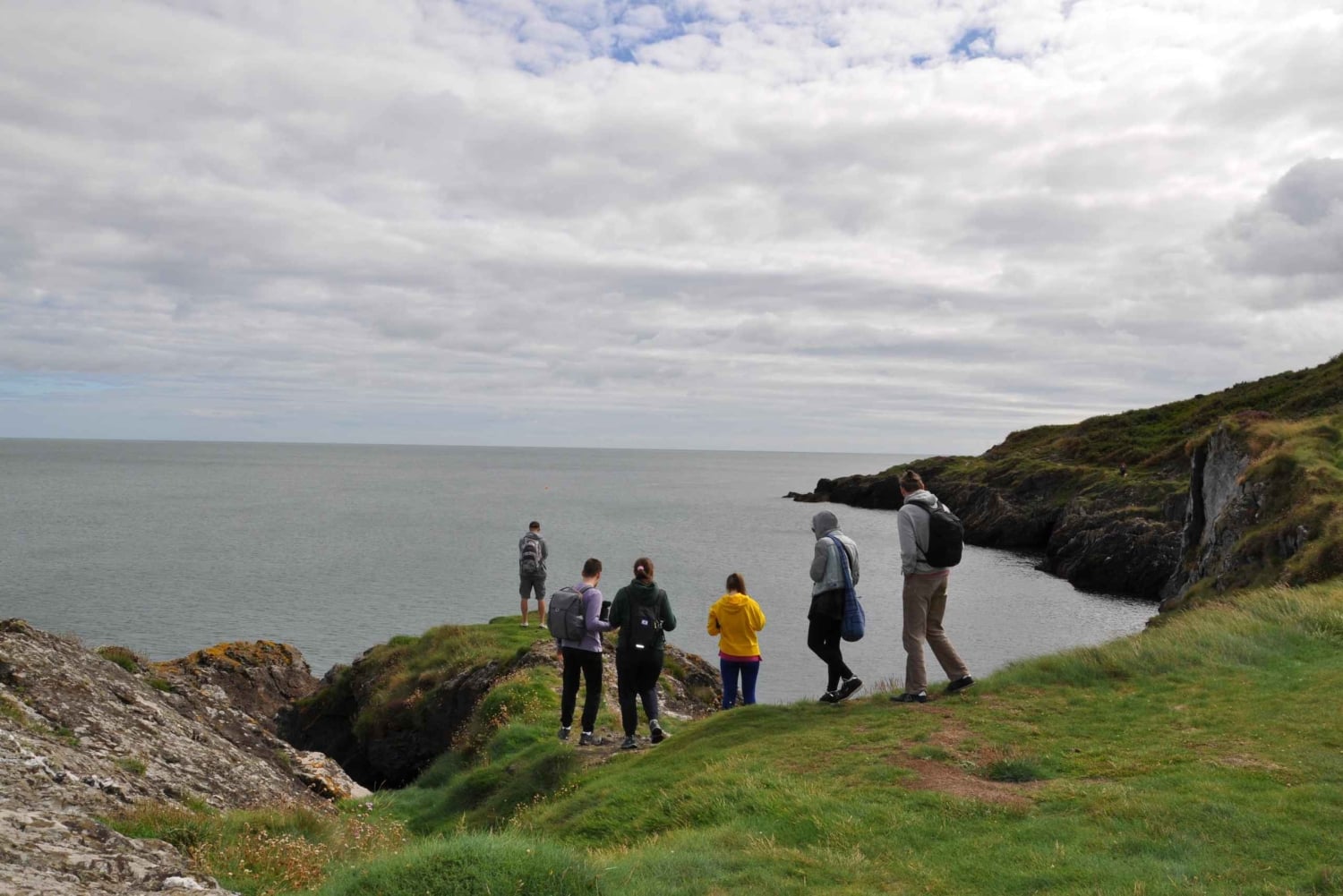 ウィックローアザラシのガイド付きクリフウォークとピクニック付きタウンツアー