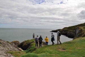 ウィックローアザラシのガイド付きクリフウォークとピクニック付きタウンツアー