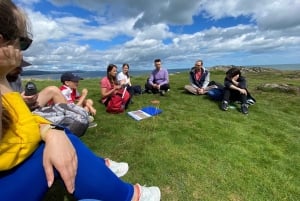 ウィックローアザラシのガイド付きクリフウォークとピクニック付きタウンツアー