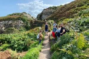 ウィックローアザラシのガイド付きクリフウォークとピクニック付きタウンツアー