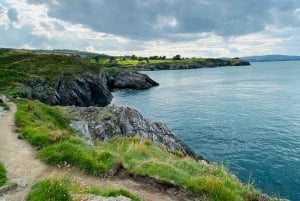 ウィックローアザラシのガイド付きクリフウォークとピクニック付きタウンツアー
