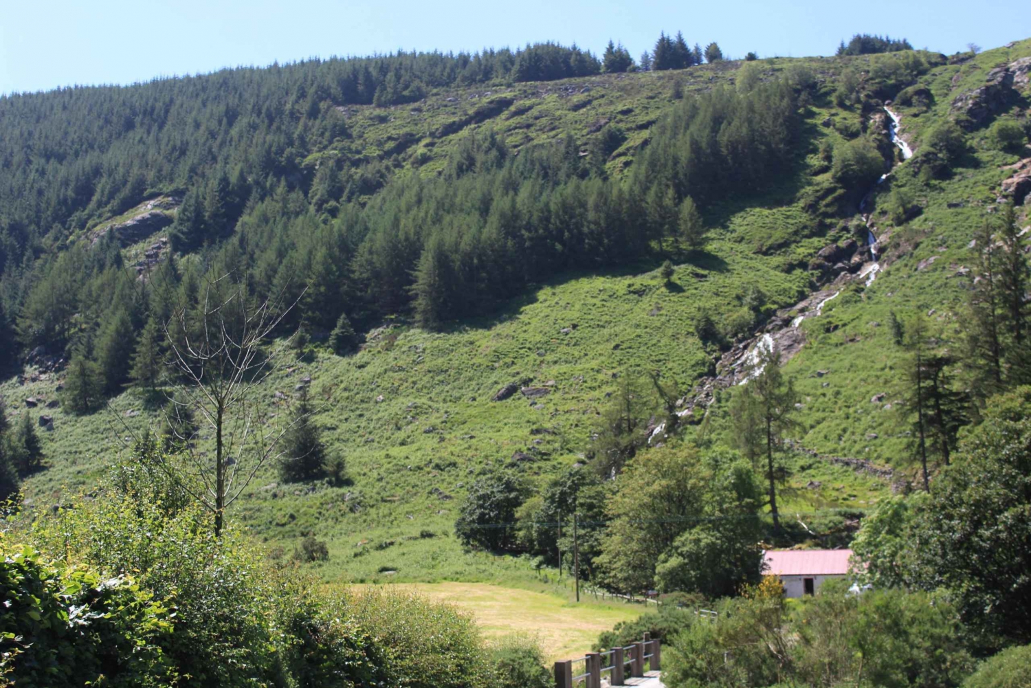 Wicklow Mountains privat dagstur inklusive Glendalough