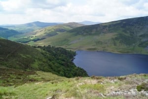 Privétour door de Wicklow Mountains inclusief Glendalough