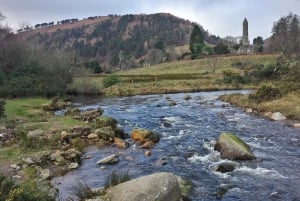 Wicklow Mountains privat dagstur inkludert Glendalough