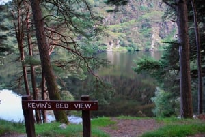 Wicklow Mountains privat dagstur inkludert Glendalough