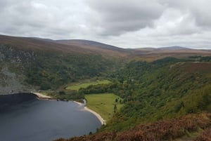 Wicklow Mountains privat dagstur inkludert Glendalough