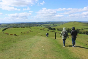 Wicklow Mountains privat dagstur inkludert Glendalough