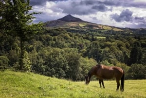 Wicklow: Private Day Tour from Dublin