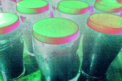 NOT one for the road...