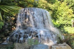 Camden-Wexford-Harcourt Street Area