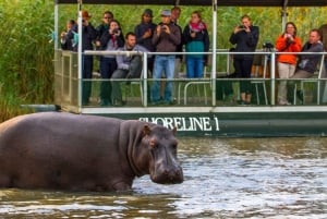 1/2 journée de safari en bateau à Isimangaliso au départ de Durban