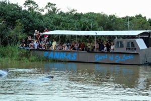 1/2 journée de safari en bateau à Isimangaliso au départ de Durban