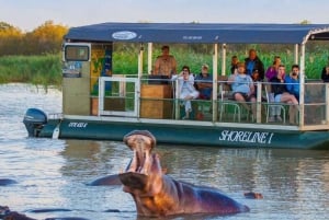 1/2 journée de safari en bateau à Isimangaliso au départ de Durban